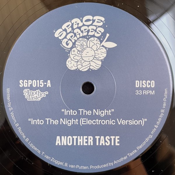 Into The Night  - Another Taste feat Sarina Voorn